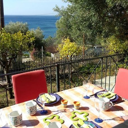 Gerakina Beach Cottage 普萨克迪亚 外观 照片