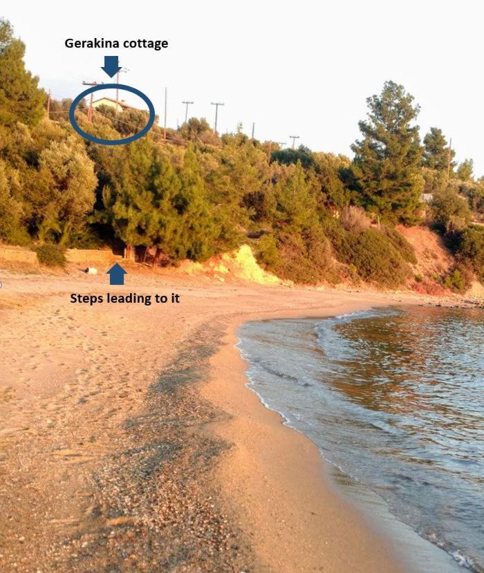 Gerakina Beach Cottage 普萨克迪亚 外观 照片