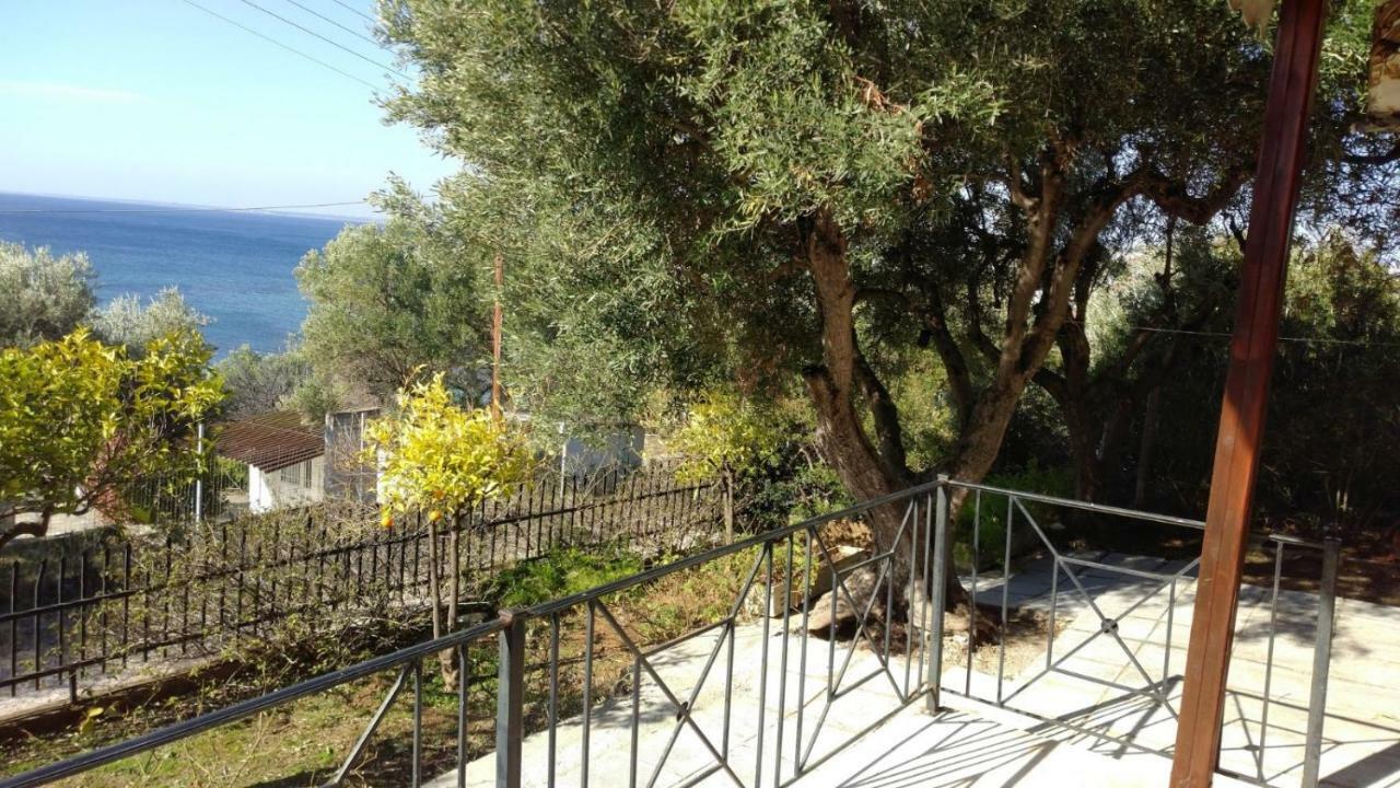 Gerakina Beach Cottage 普萨克迪亚 外观 照片