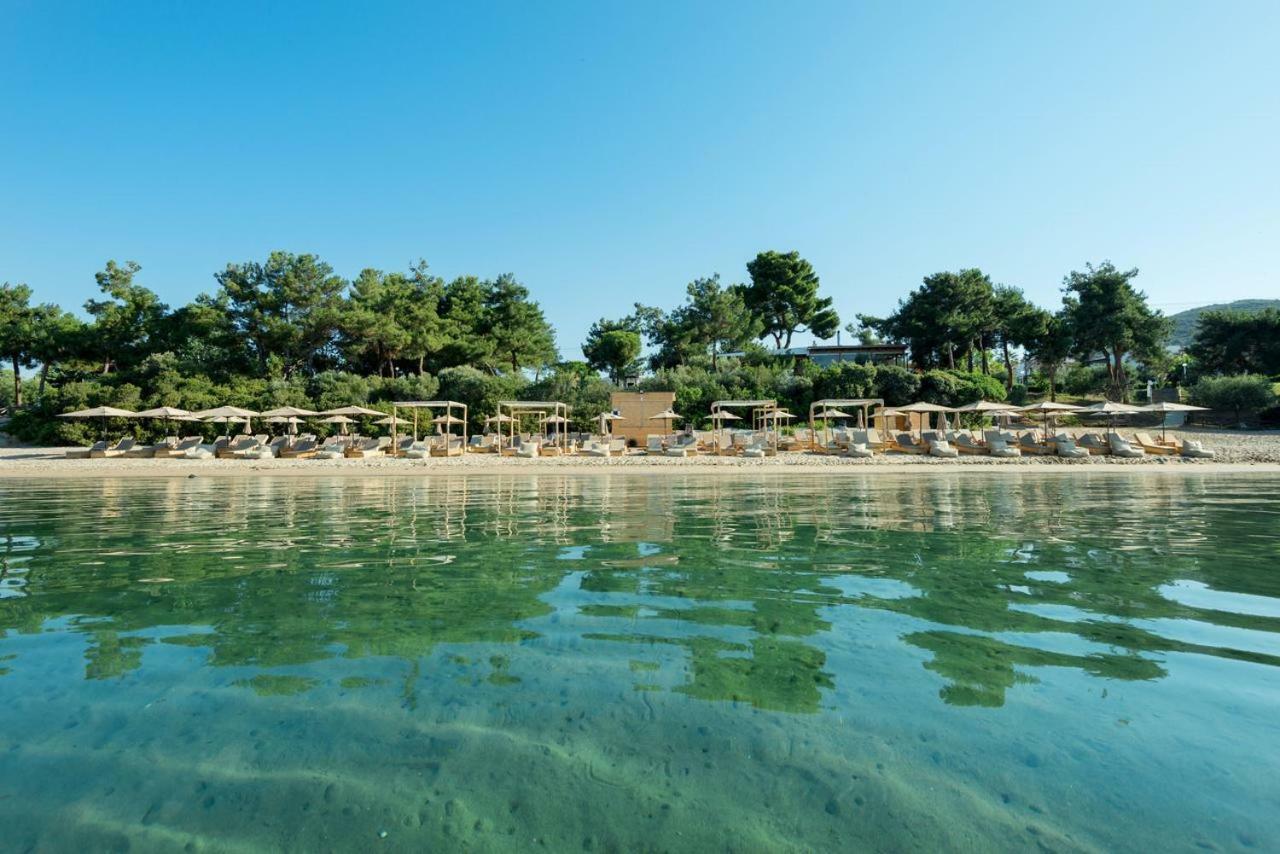 Gerakina Beach Cottage 普萨克迪亚 外观 照片