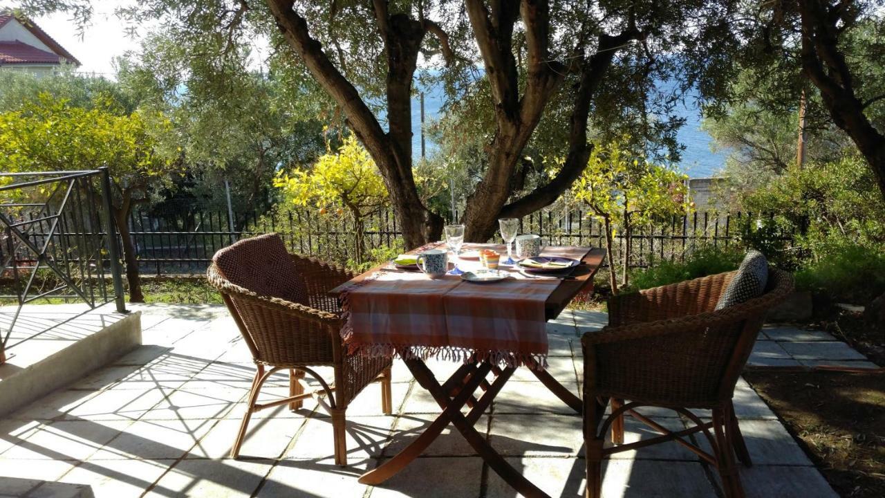 Gerakina Beach Cottage 普萨克迪亚 外观 照片